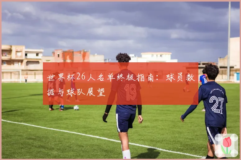 世界杯26人名单终极指南:球员数据与球队展望