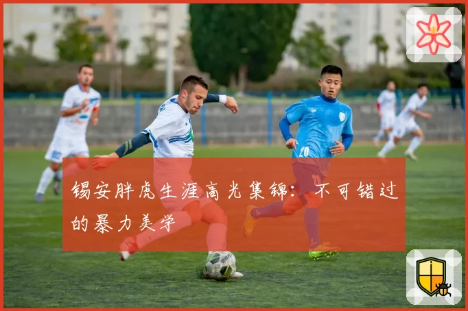 锡安胖虎生涯高光集锦：不可错过的暴力美学